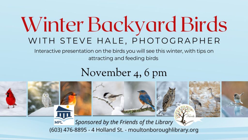 Poster for program on Winter Backyard Birds, November 4, 6 pm