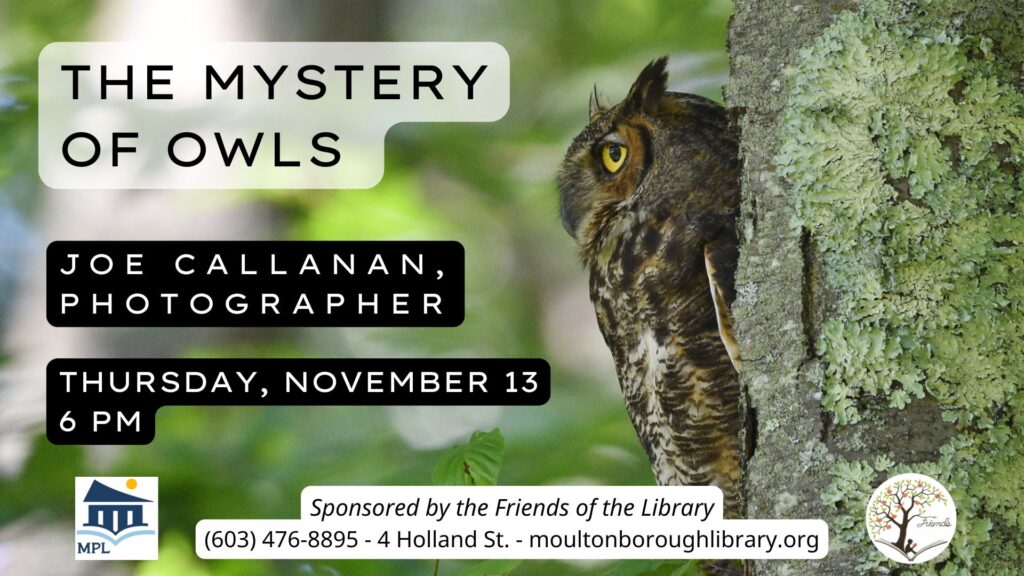 Mystery of Owls , November 13, 6 pm