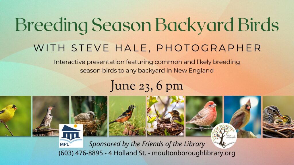 Poster for event features thumbnail photos of different New England birds.