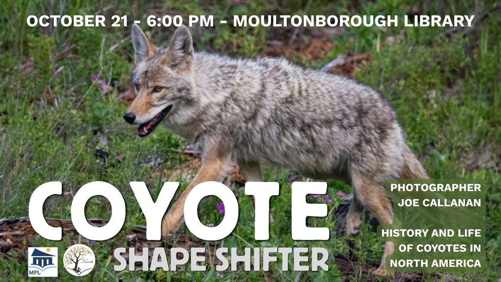 Poster for the October 21 program on coyotes.